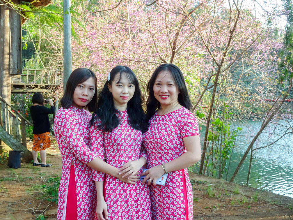 Mùa hoa đào Măng Đen Kon Tum nở tháng 12 năm 2019